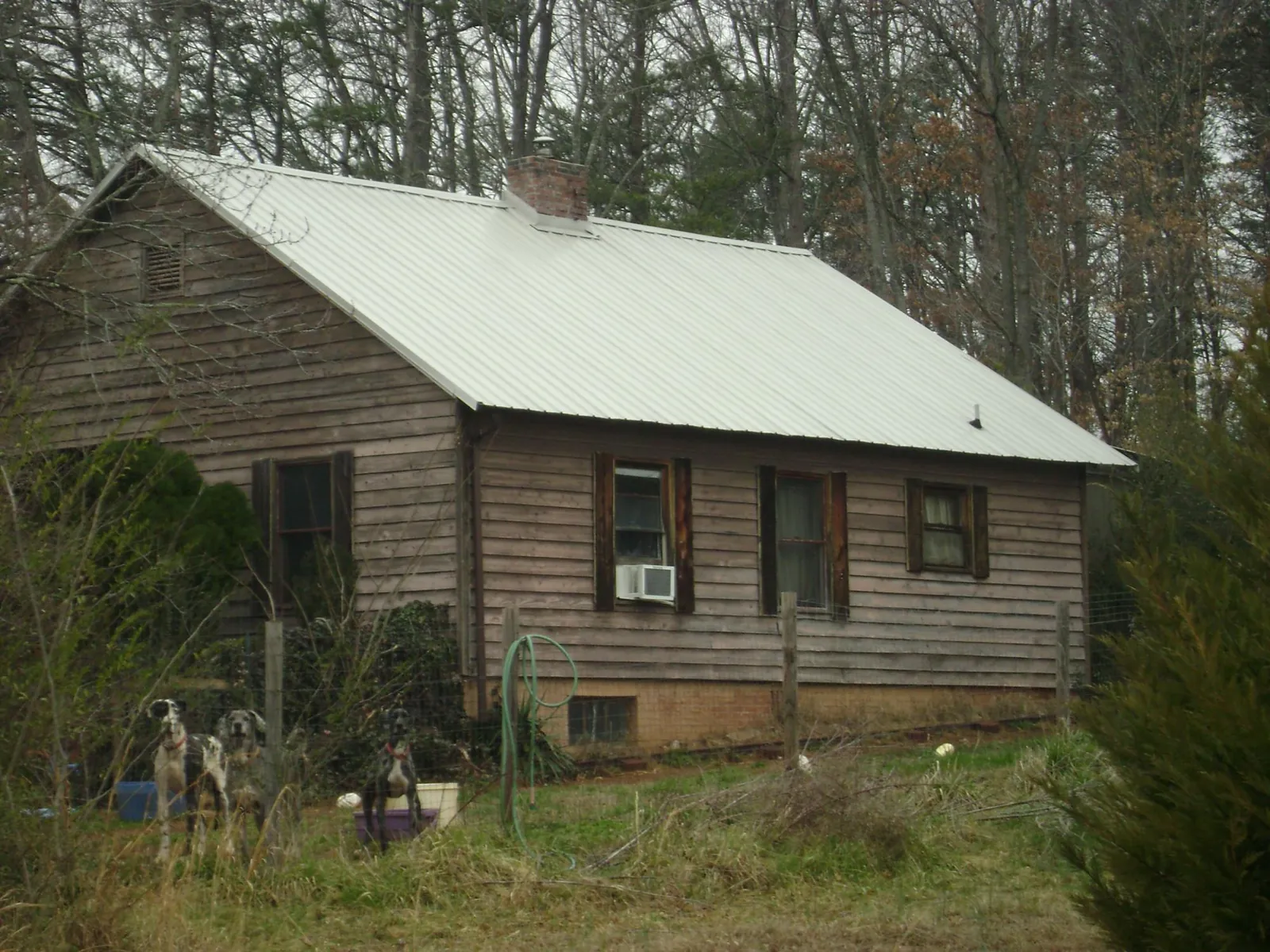 White metal roof on an old wood sided farmhouse, from a Asphalt Shingle Roof Repair job in Kenai
